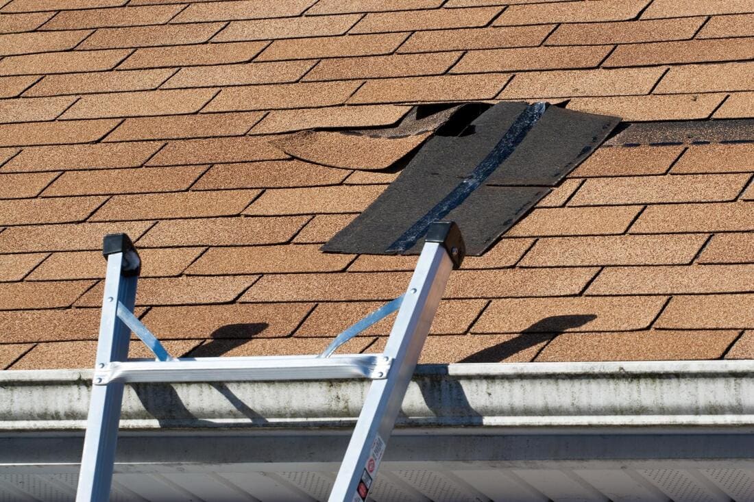 Damaged asphalt shingles beside a ladder
